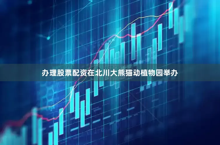 办理股票配资在北川大熊猫动植物园举办