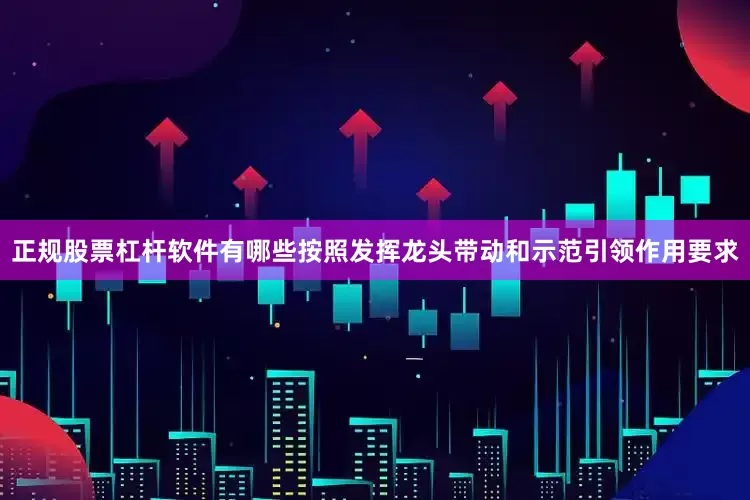 正规股票杠杆软件有哪些按照发挥龙头带动和示范引领作用要求