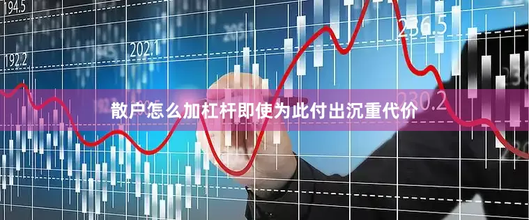 散户怎么加杠杆即使为此付出沉重代价